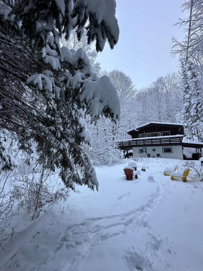 Chalet Dans Les Arbres. 3 Ch. /Trees House 3Bdr Lac Sainte-Marie Exterior photo